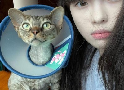 ​关系户太低调被欺负（不仅让他不敢欺负你）