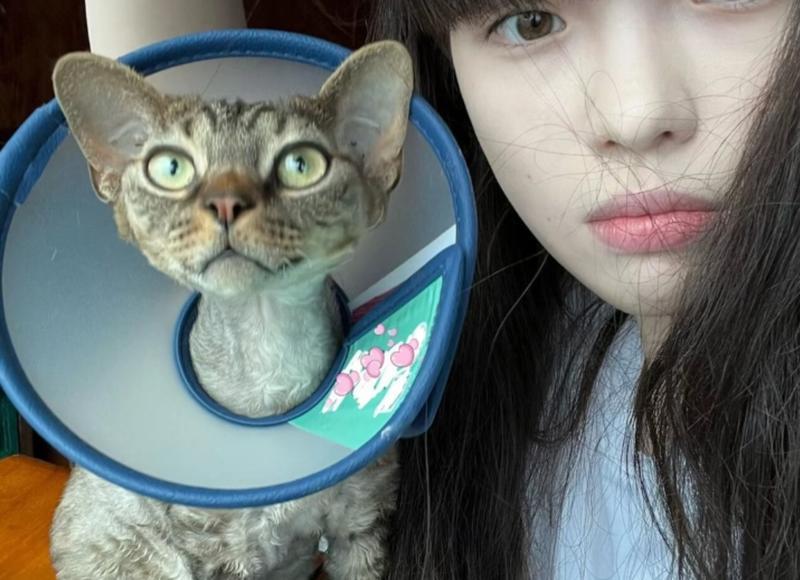 关系户太低调被欺负（不仅让他不敢欺负你）