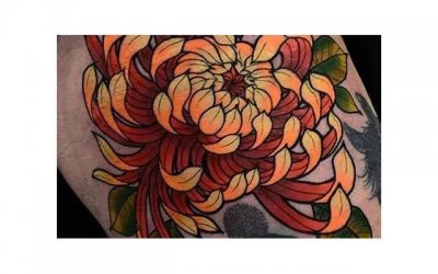 ​杨钰莹图片写真图片（杨钰莹不光是冻龄女神）