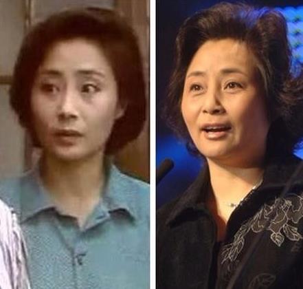 二十七年过去了！回顾《渴望》11位主演的现状