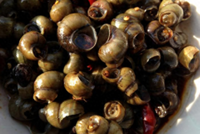 ​螺蛳成保护动物不能吃了？4种螺蛳可放心吃，你吃过几种呢？