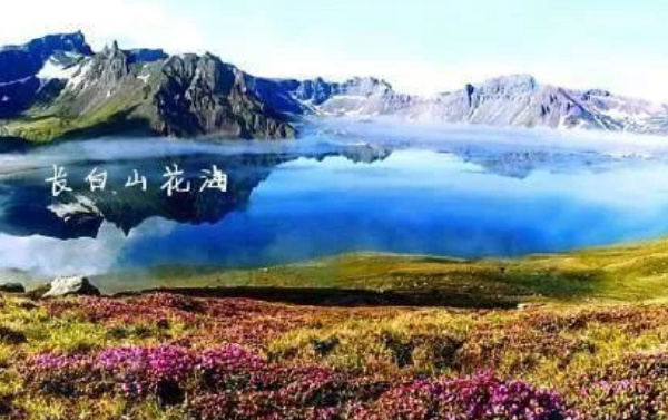 中国十大花海排行榜：三月的林芝花海桃花满天