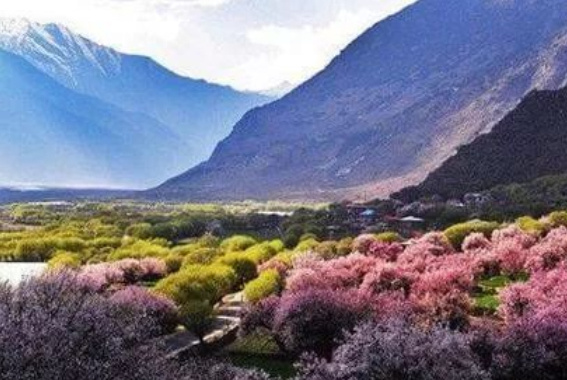 中国十大花海排行榜：三月的林芝花海桃花满天