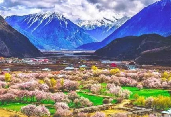 中国十大花海排行榜：三月的林芝花海桃花满天