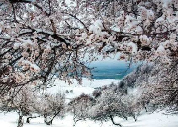 中国十大花海排行榜：三月的林芝花海桃花满天