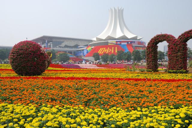 南宁这座城市真的随处是风景（一座美丽的城市）(4)