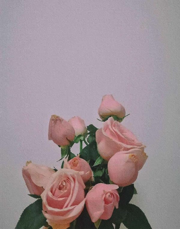 情侣之间怎么增进感情（情侣之间如何增进感情）(图6)