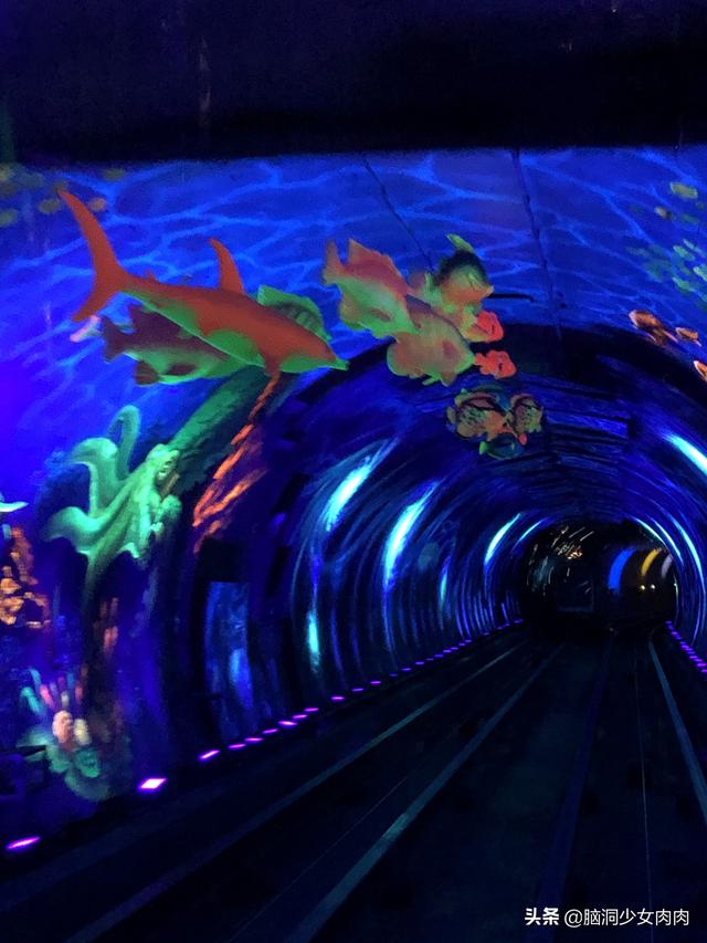 外滩观光隧道主要游览（上海外滩观光隧道）(6)