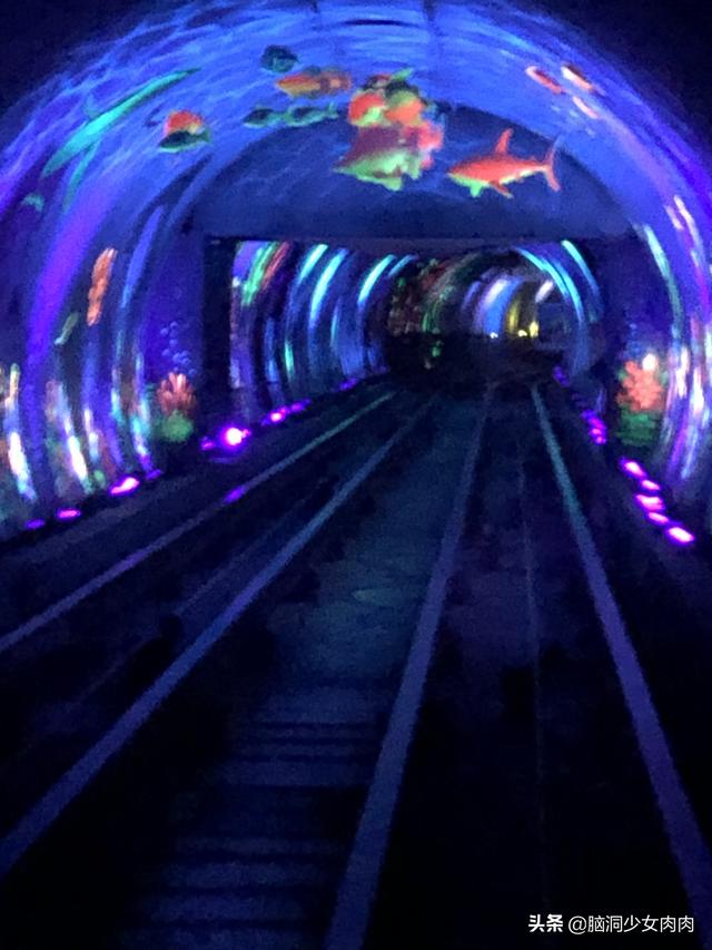 外滩观光隧道主要游览（上海外滩观光隧道）(5)