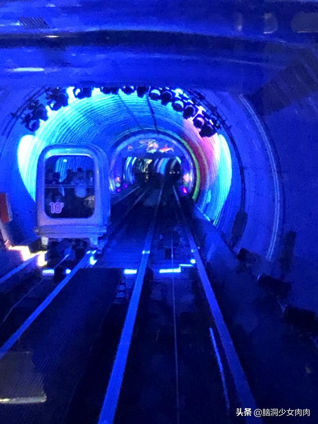 外滩观光隧道主要游览（上海外滩观光隧道）(14)