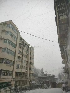 ​武汉又下雪了（最低-5武汉这场雪将连下3天）