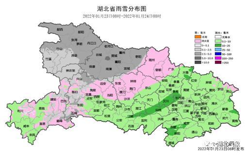 武汉又下雪了（最低-5武汉这场雪将连下3天）(4)