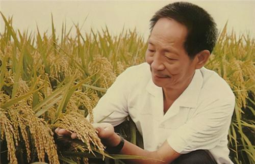 袁隆平逝世家人怎样，袁隆平之母华静(2)