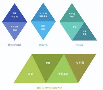 ​聚类和分类的区别