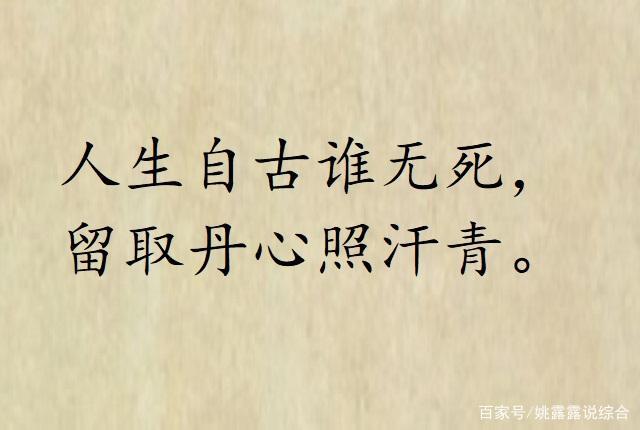 留取丹心照汗青的上一句（人生自古谁无死）