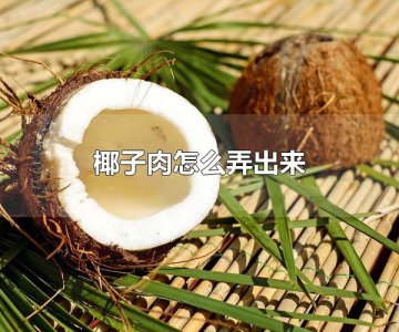 ​椰子肉怎么弄出来 椰子属于什么类型的植物