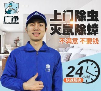 ​杀蟑螂上门服务多少钱,请人除蟑螂多少钱