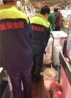 上海上门灭鼠一次多少钱