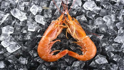 ​冰冻虾仁怎么解冻