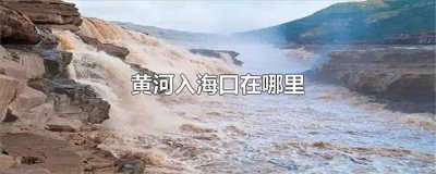 ​黄河入海口在哪里
