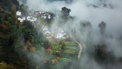 ​洗村人是什么梗