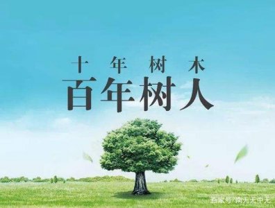 ​十年树木下一句是什么（十年树木有没有下一句）