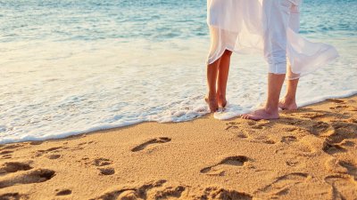 ​白月光朱砂痣是什么梗