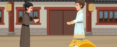 ​pt950是什么金