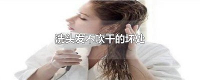 ​洗头不吹干有什么影响 洗头发经常不吹干会怎么样