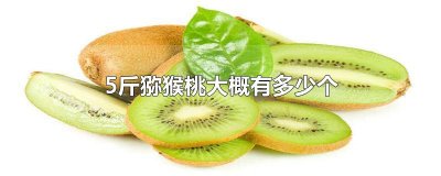 ​5斤猕猴桃大概有多少个