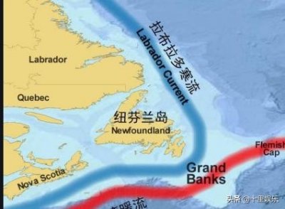 ​世界四大渔场之一纽芬兰渔场，20年无鱼可捕，可惜了