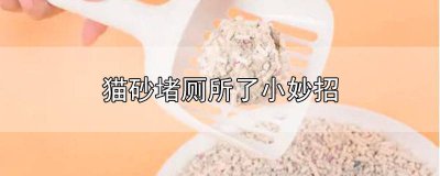 ​猫砂堵厕所了小妙招