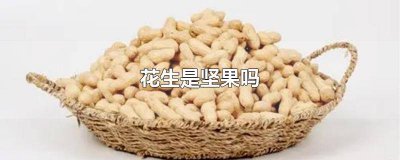 ​花生可以当坚果吃吗 花生是坚果类食物吗?