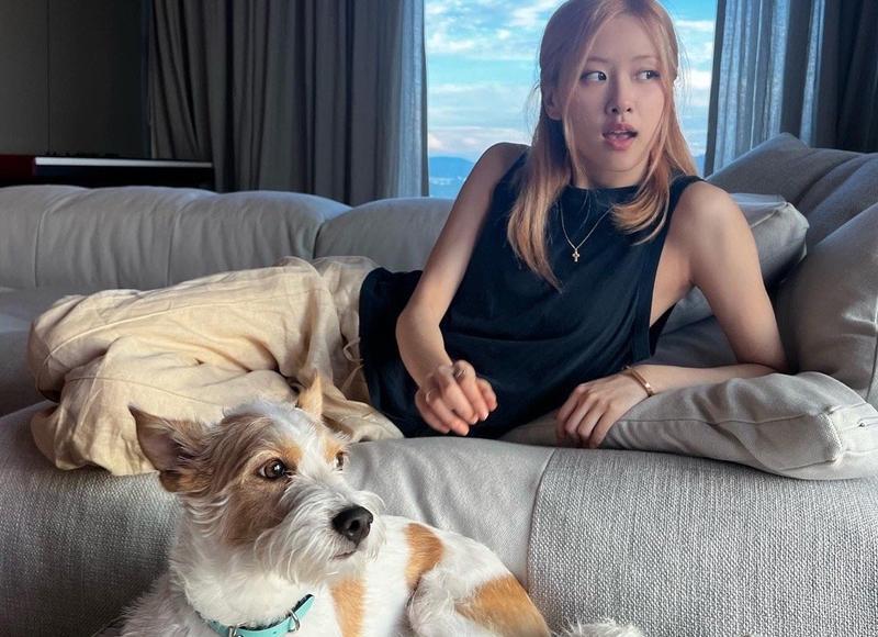 爱情是什么？让你一秒钟爆发所有感情的答案