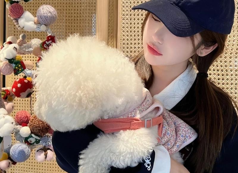 金弟独立的好处，让你重拾自我，成为更好的自己