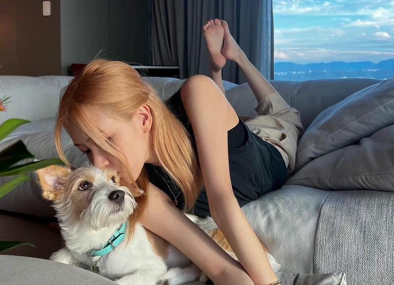 末的拼音和组词