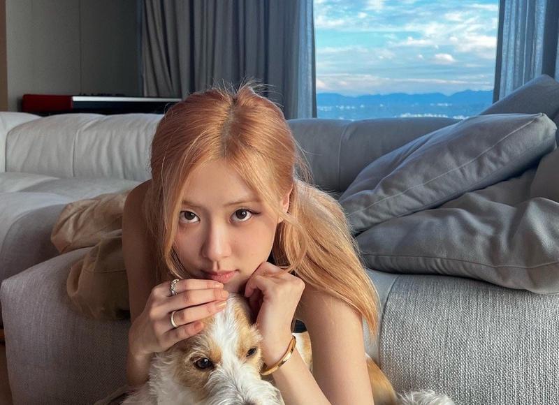 老毕近期情况（老毕感谢小马哥帮回血）