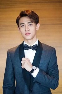 ​王天辰：演艺路上的多面手