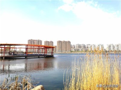 ​春光记—— 走在长春南溪湿地公园：曲水芦苇荡，人鸟共悠游