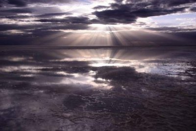 ​东海异闻录上映百妖夜行蛊惑人心降妖法师渡海除魔