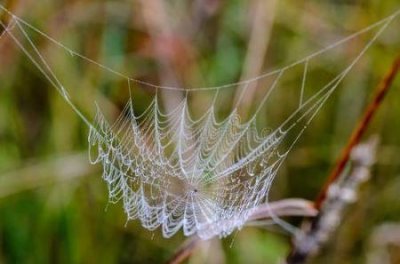 ​悍匪卞况为了挑衅警方 在死者的肚皮上画乌龟
