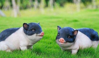 ​十猪九苦1983，财气/情感/职业上必定要注重_弥合也有方式