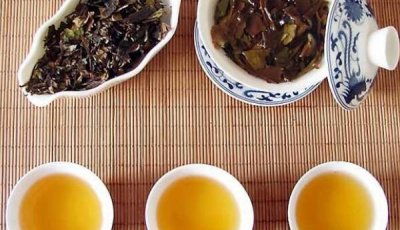 ​白牡丹茶的反效率，空肚喝会头晕/暮年人没有能喝太多