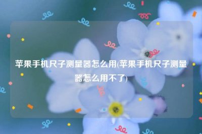​苹果手机尺子测量器怎么用(苹果手机尺子测量器怎么用不了)