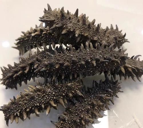 2000元左右的干海参一斤大约多少个