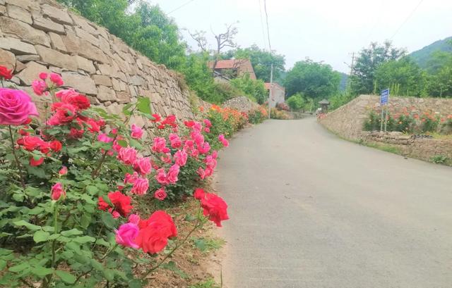 50km桃花坞取景地哪里（五十公里桃花坞为什么在这个村拍摄）(2)