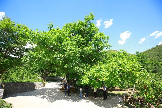 50km桃花坞取景地哪里（五十公里桃花坞为什么在这个村拍摄）(6)