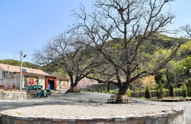 50km桃花坞取景地哪里（五十公里桃花坞为什么在这个村拍摄）(1)