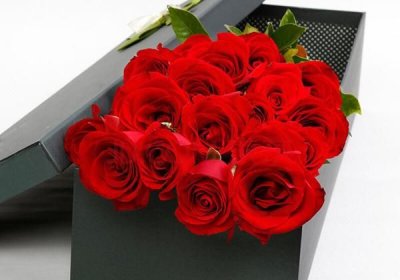 ​玫瑰花几朵,玫瑰送多少朵比较合适