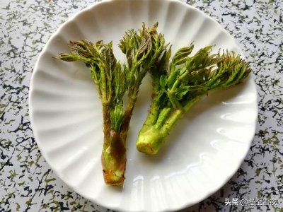 ​东北有哪些可以吃的山野菜（这些山野菜最受欢迎）